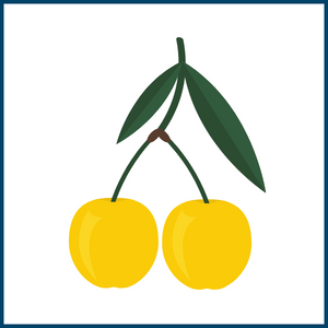 Yellow Fruits - Yellow Cherry