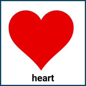 Heart